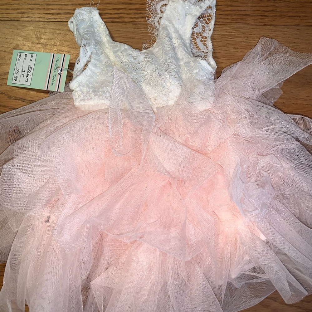 Elegant Lace and Tulle Dress